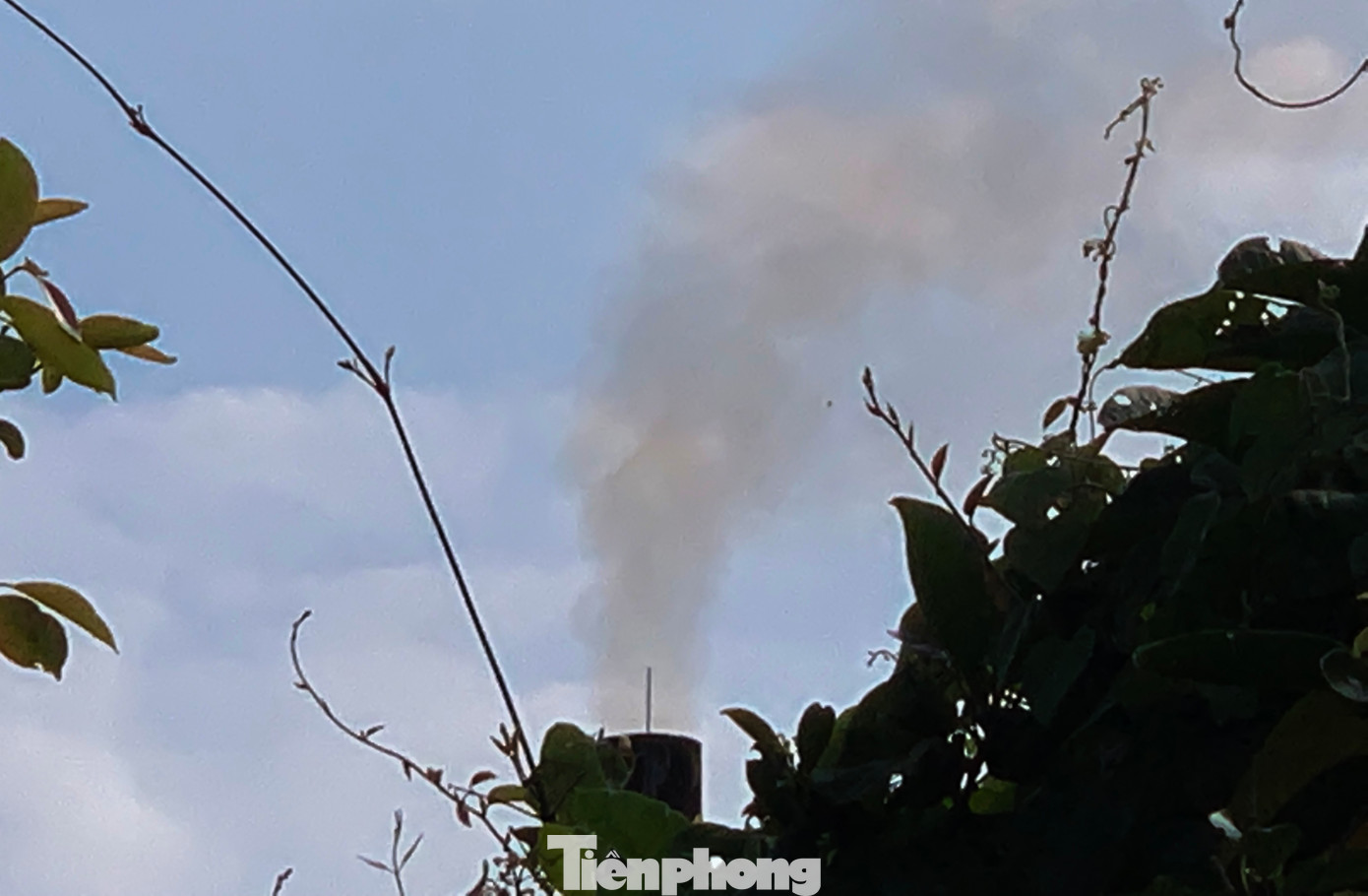 Các ống xả thải cứ liên tục xả ra môi trường.