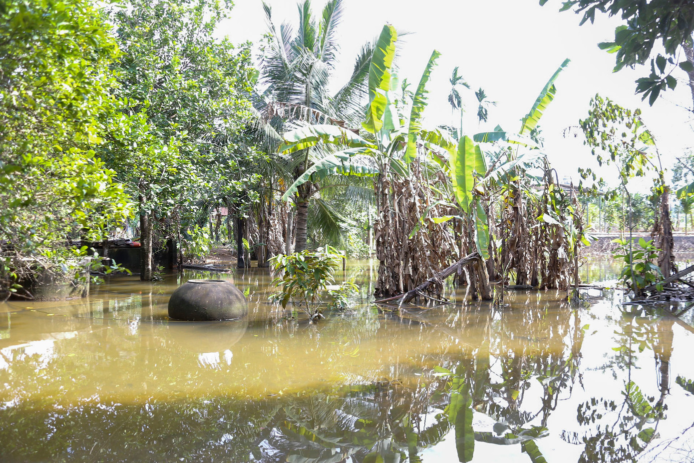 UBND xã Hoà Phú đã nhiều lần liên hệ và phản ánh tình trạng nước ứ đọng không thoát được diễn ra trong gần 1 tháng nay đến Ban Quản lý dự án đầu tư xây dựng các công trình giao thông Đà Nẵng nhưng vẫn chưa được xử lý.