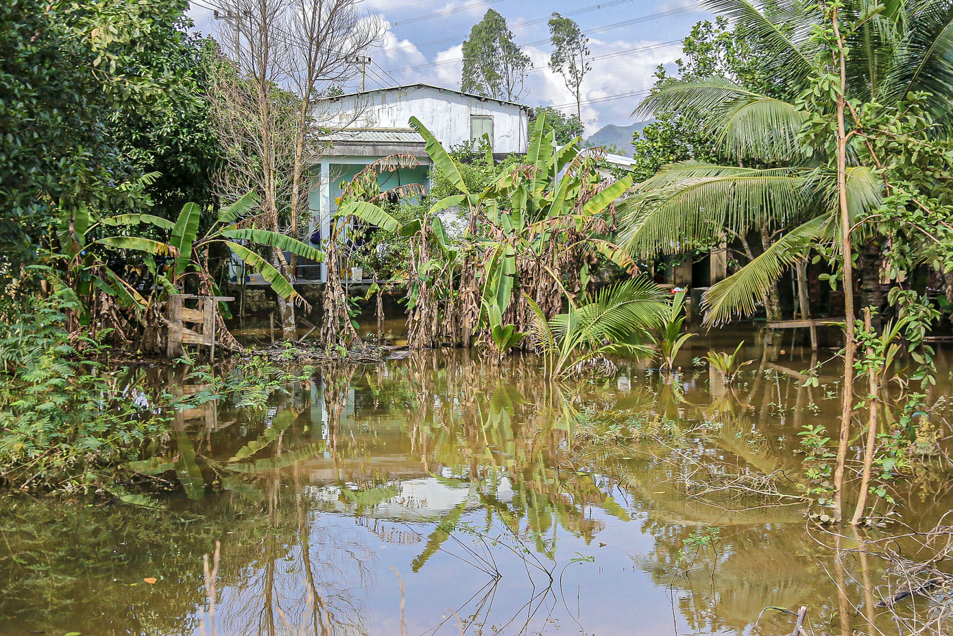 Nước ứ đọng không thoát được làm phát sinh ruồi muỗi, gây ô nhiễm môi trường, ảnh hưởng đến cuộc sống nhiều gia đình.