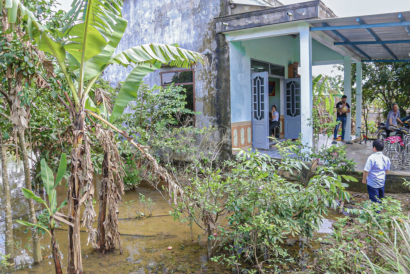 Nước ứ đọng không thoát được làm phát sinh ruồi muỗi, gây ô nhiễm môi trường, ảnh hưởng đến cuộc sống nhiều gia đình.