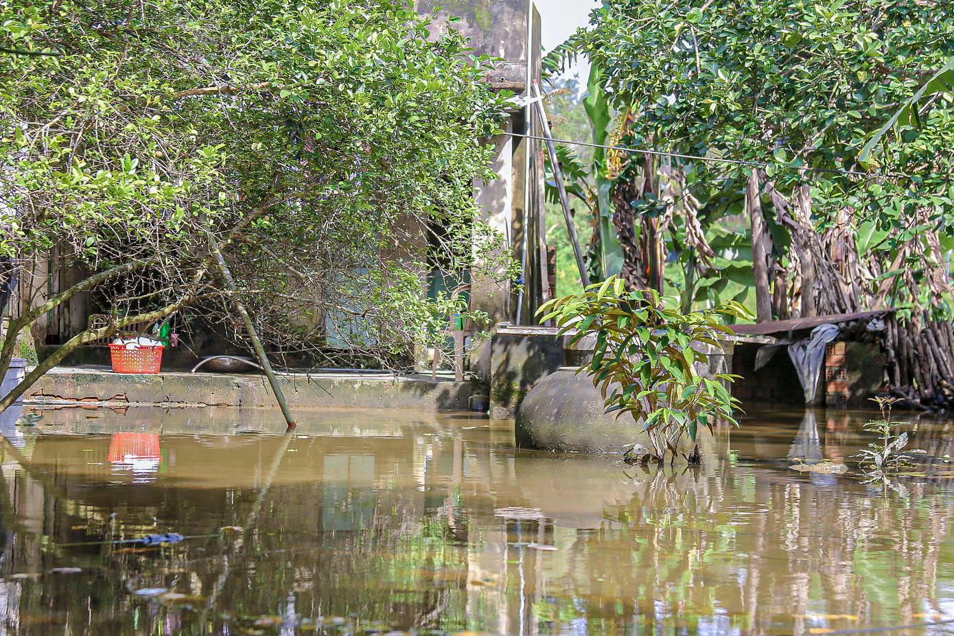 Nước ứ đọng không thoát được làm phát sinh ruồi muỗi, gây ô nhiễm môi trường, ảnh hưởng đến cuộc sống nhiều gia đình.