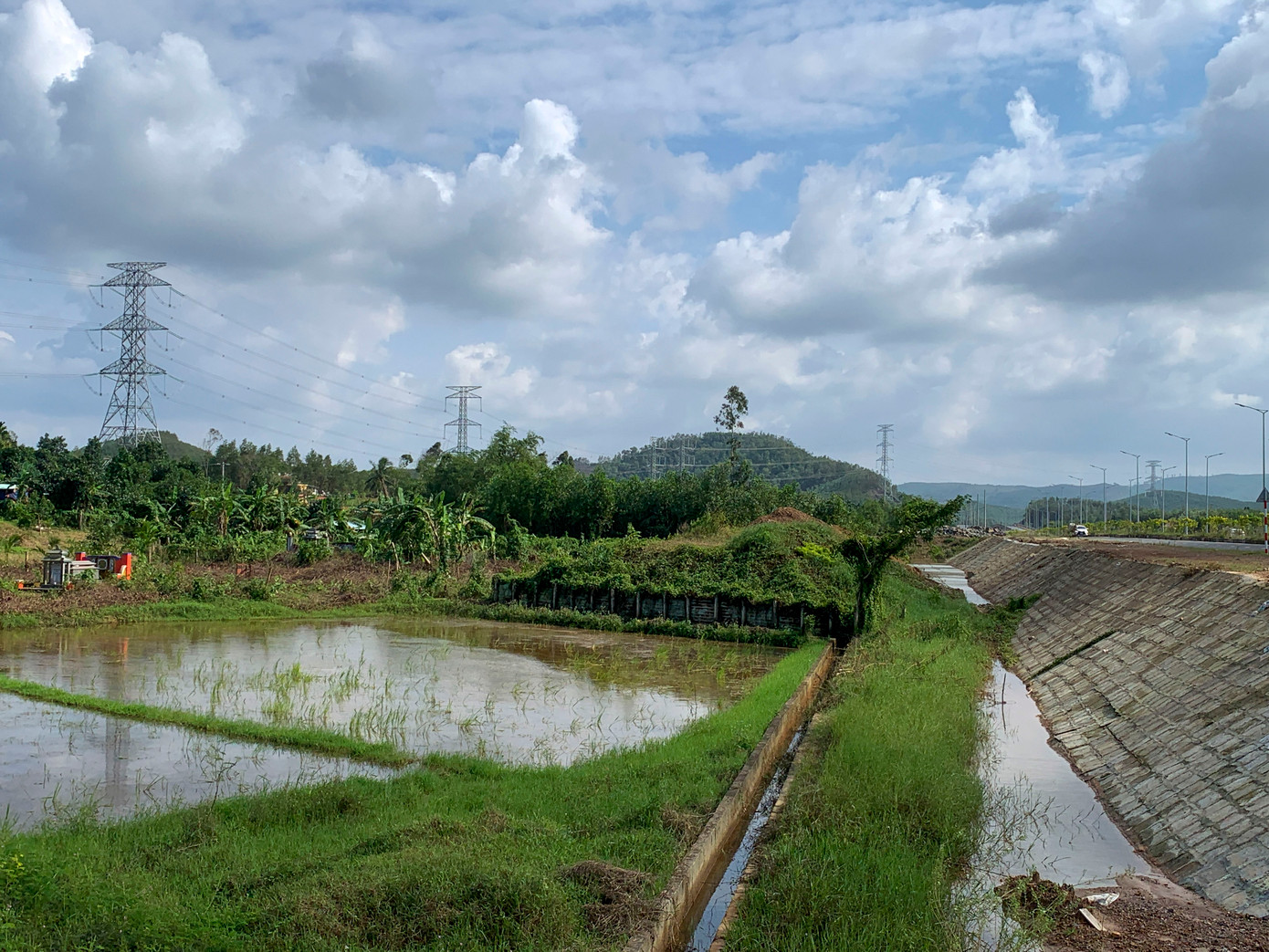 Theo phản ánh của người dân, cánh đồng Bàu Đá thuộc thôn Đông Lâm, sau đợt mưa lớn kéo dài, vẫn còn nhiều khu vực bị ngập úng do nước không thể thoát. Tình trạng nước đọng lại lâu ngày, tạo điều kiện cho ruồi muỗi sinh sôi, gây ô nhiễm môi trường và làm ảnh hưởng đến đời sống của người dân.