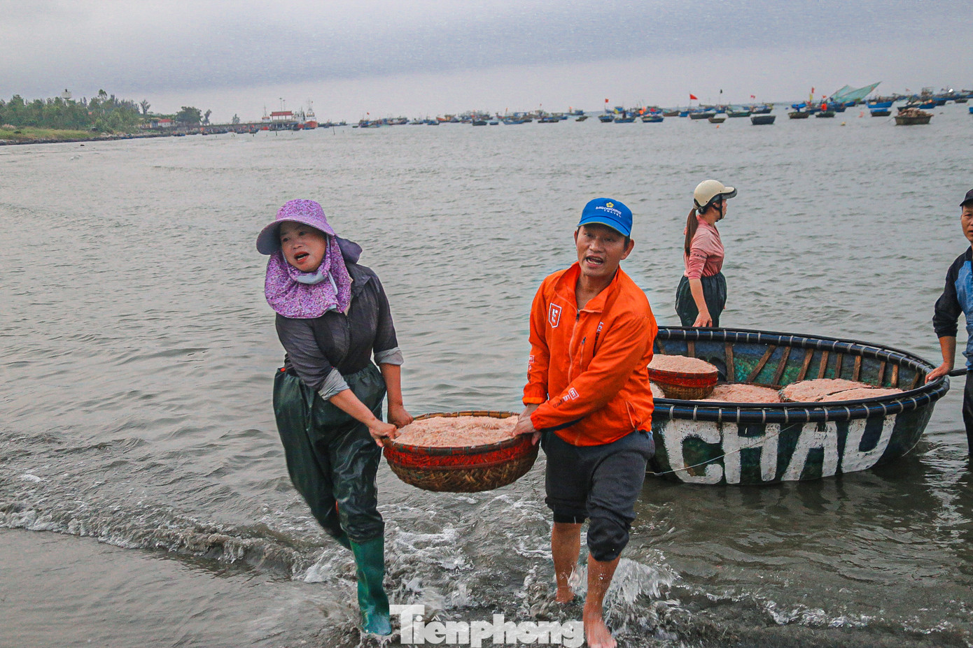 Ngư dân vui sướng vì trúng đậm ruốc biển.
