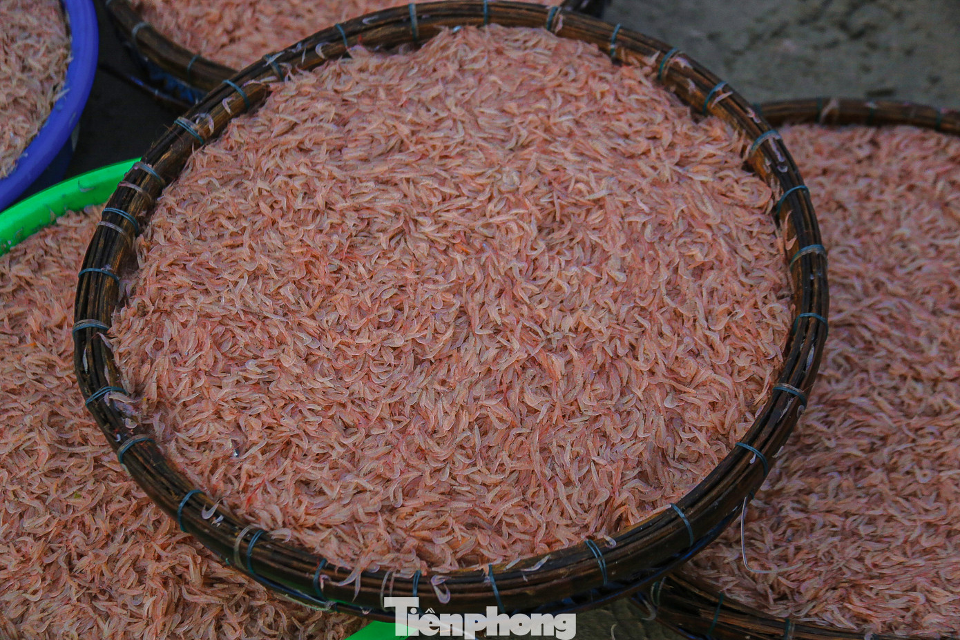 Ruốc sau khi mua có thể phơi khô để mang đi tiêu thụ hoặc làm mắm ruốc, chế biến các món ăn khác.