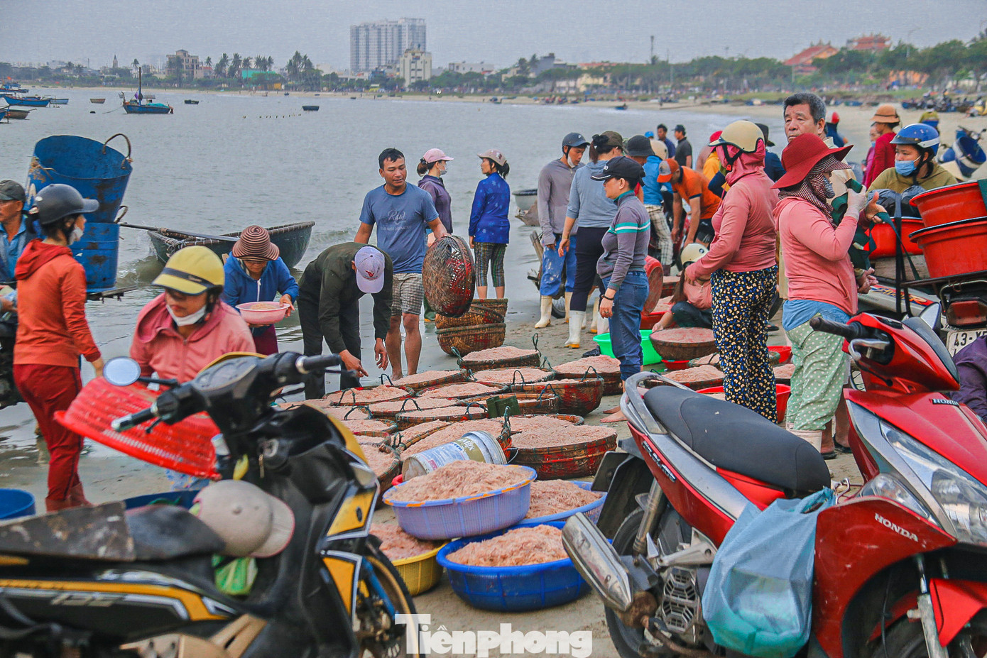 Những ngày đầu tháng 4, tại khu vực bờ biển Thọ Quang (quận Sơn Trà, TP. Đà Nẵng) không khí tấp nập, nhộn nhịp. Nhiều thương lái đổ về bờ biển để đón chờ những chuyến tàu đang vào bờ chở theo đầy ruốc biển.