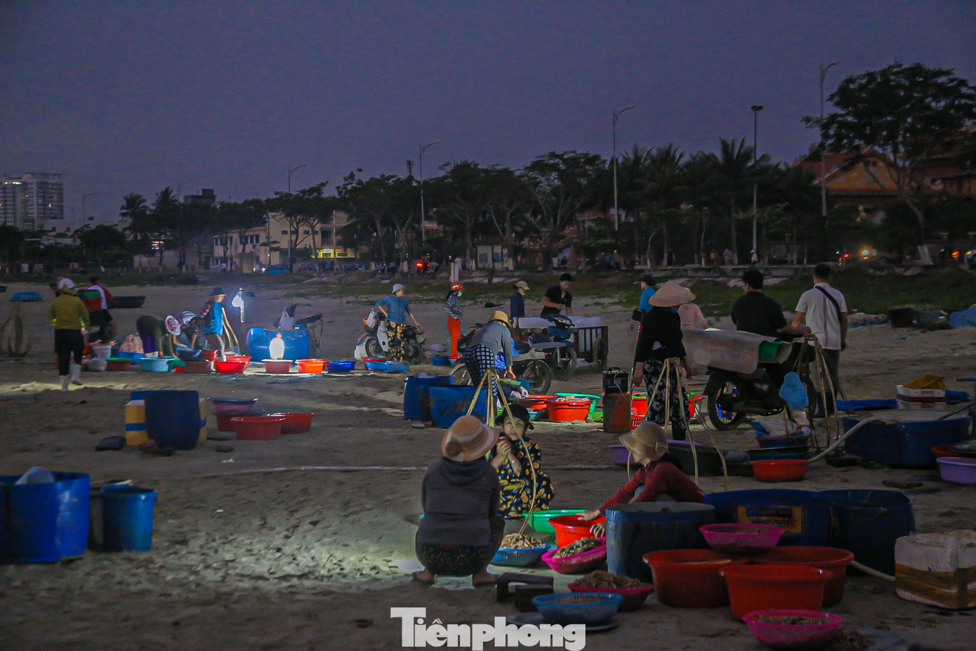 Ghi nhận của phóng viên, từ 4h sáng, không khí tại khu vực bờ biển Thọ Quang (quận Sơn Trà) đã rộn ràng tiếng kẻ bán, người mua. Nhiều thương lái đã đến từ rất sớm để có thể thu mua những mẻ ruốc biển tươi ngon.