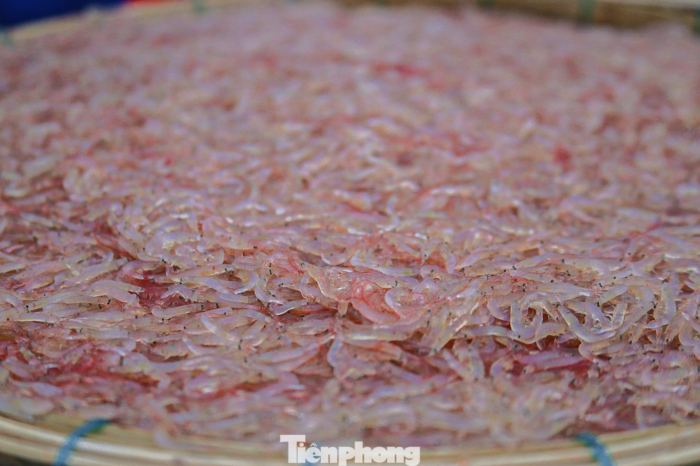 Ruốc sau khi mua có thể phơi khô để mang đi tiêu thụ hoặc làm mắm ruốc, chế biến các món ăn khác.