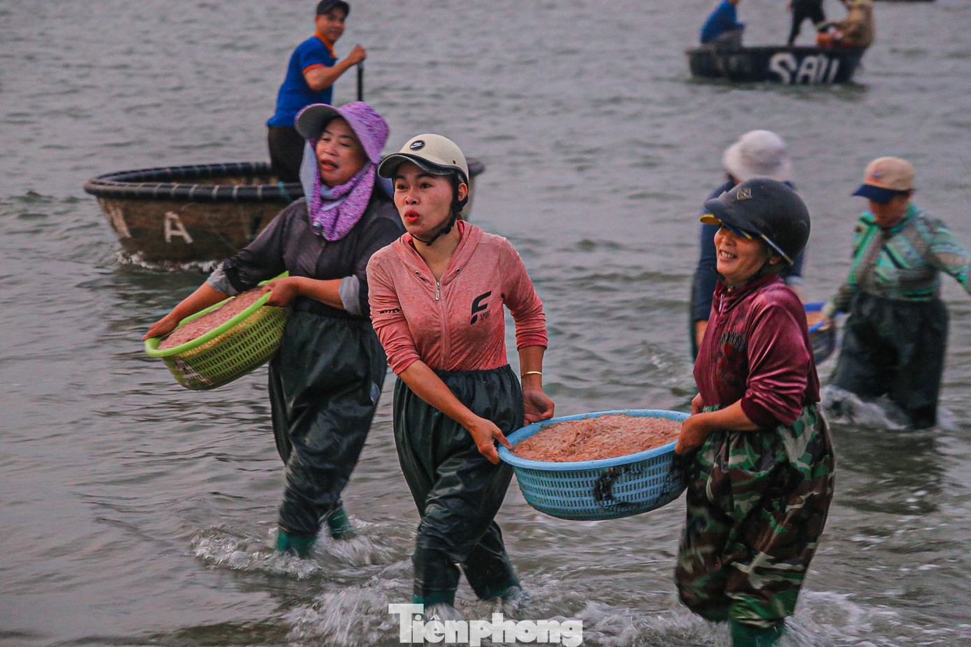 Ngư dân vui sướng vì trúng đậm ruốc biển.