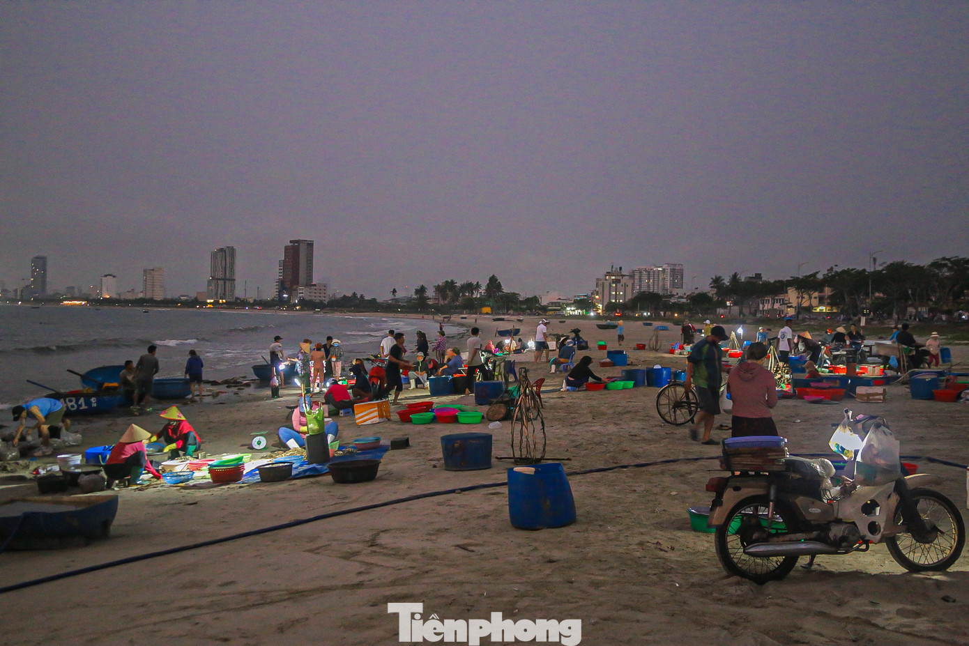 Ghi nhận của phóng viên, từ 4h sáng, không khí tại khu vực bờ biển Thọ Quang (quận Sơn Trà) đã rộn ràng tiếng kẻ bán, người mua. Nhiều thương lái đã đến từ rất sớm để có thể thu mua những mẻ ruốc biển tươi ngon.