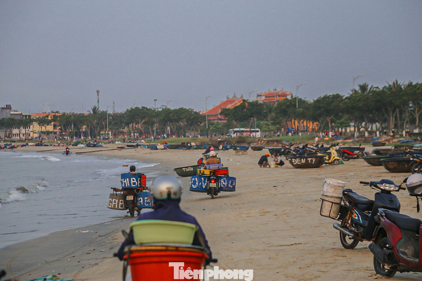 Sau khi thu mua, thương lái sẽ vận chuyển ruốc vào các chợ ở Đà Nẵng và nhiều nơi khác tiêu thụ.