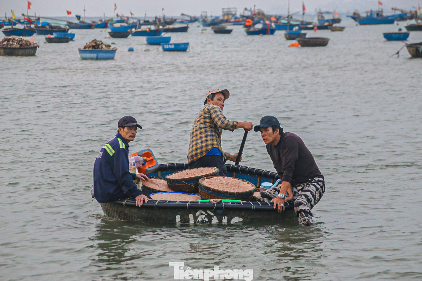 Những thúng ruốc đầy ắp đang được ngư dân đưa vào bờ sau khi đánh bắt.