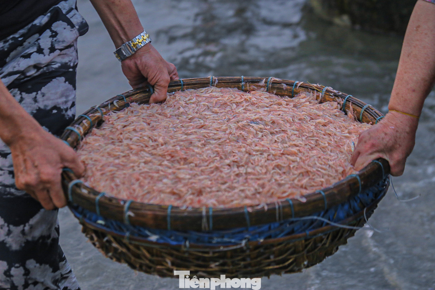 Ruốc biển tươi ngon sau khi vào bờ được thương lái và người dân đi biển mua ngay tại chỗ.