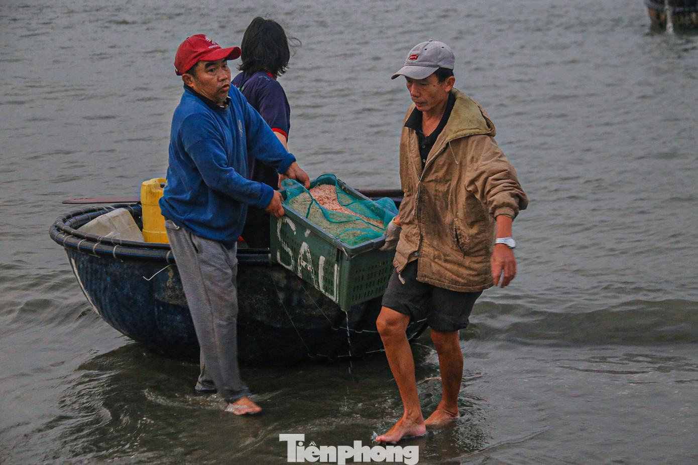 Ngư dân vui sướng vì trúng đậm ruốc biển.