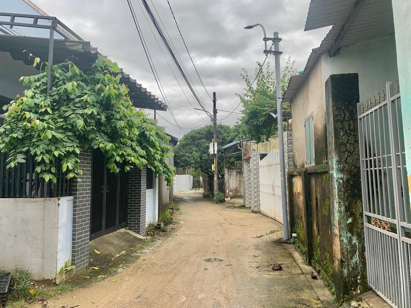 Những ngôi nhà tại tổ 129 phường Hòa Minh vẫn đang trắng số nhiều năm nay.