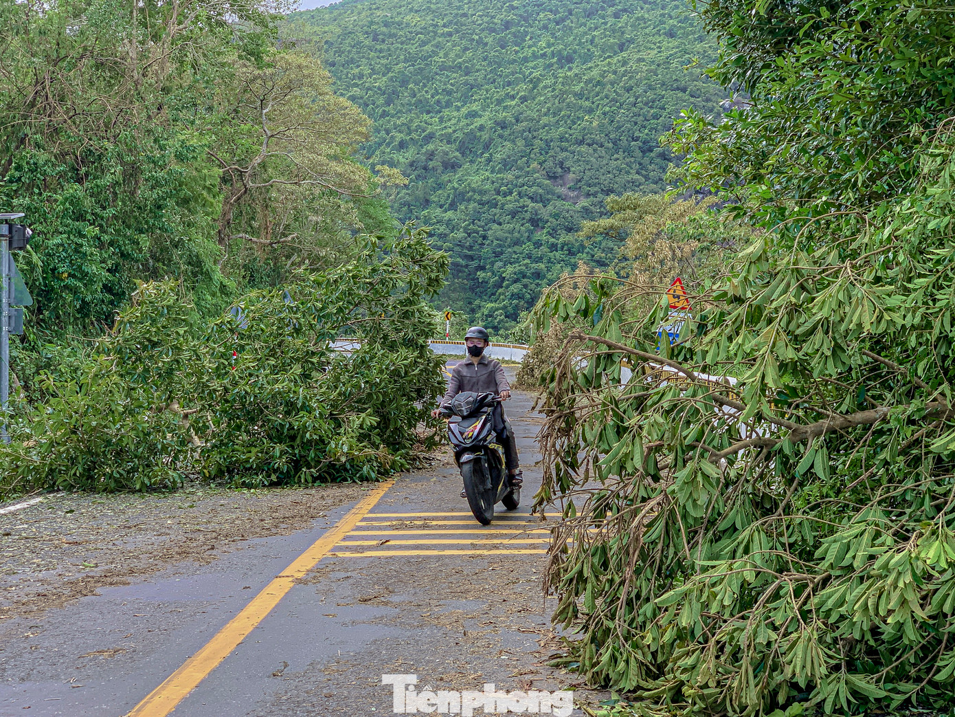 Cây xanh, trụ điện ngã đổ ra đường gây khó khăn cho nhiều phương tiện lưu thông.