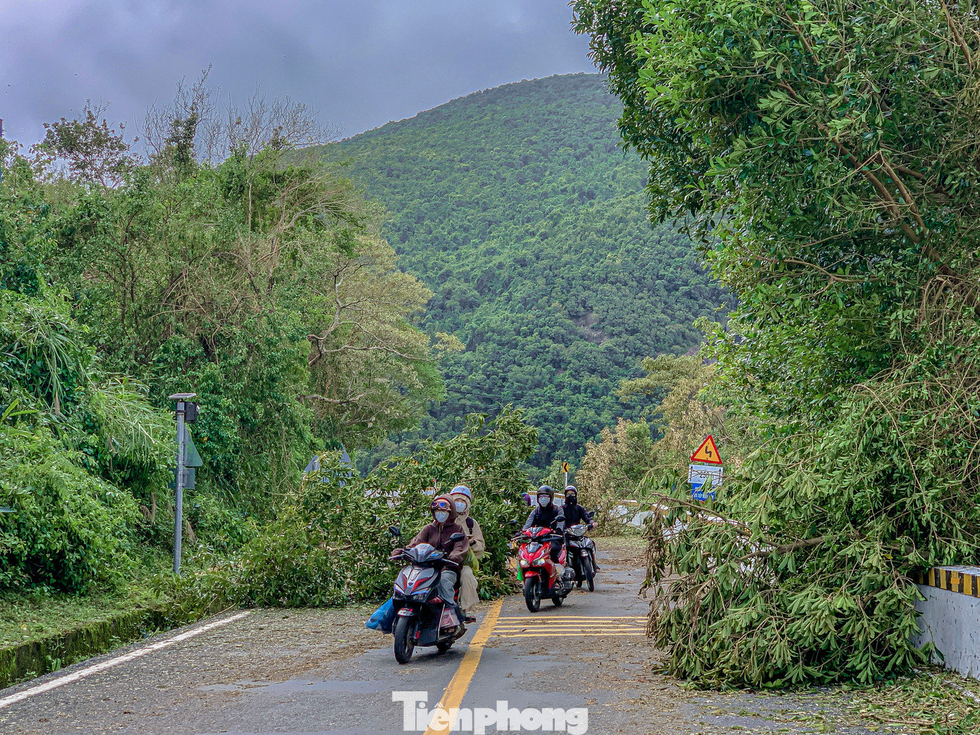 Do ảnh hưởng của bão số 6, nhiều cây xanh và trụ điện bị gió quật ngã trên đèo Hải Vân, nhiều điểm sạt lở đất đá tràn xuống đường khiến phương tiện gặp khó khăn khi lưu thông qua đèo.