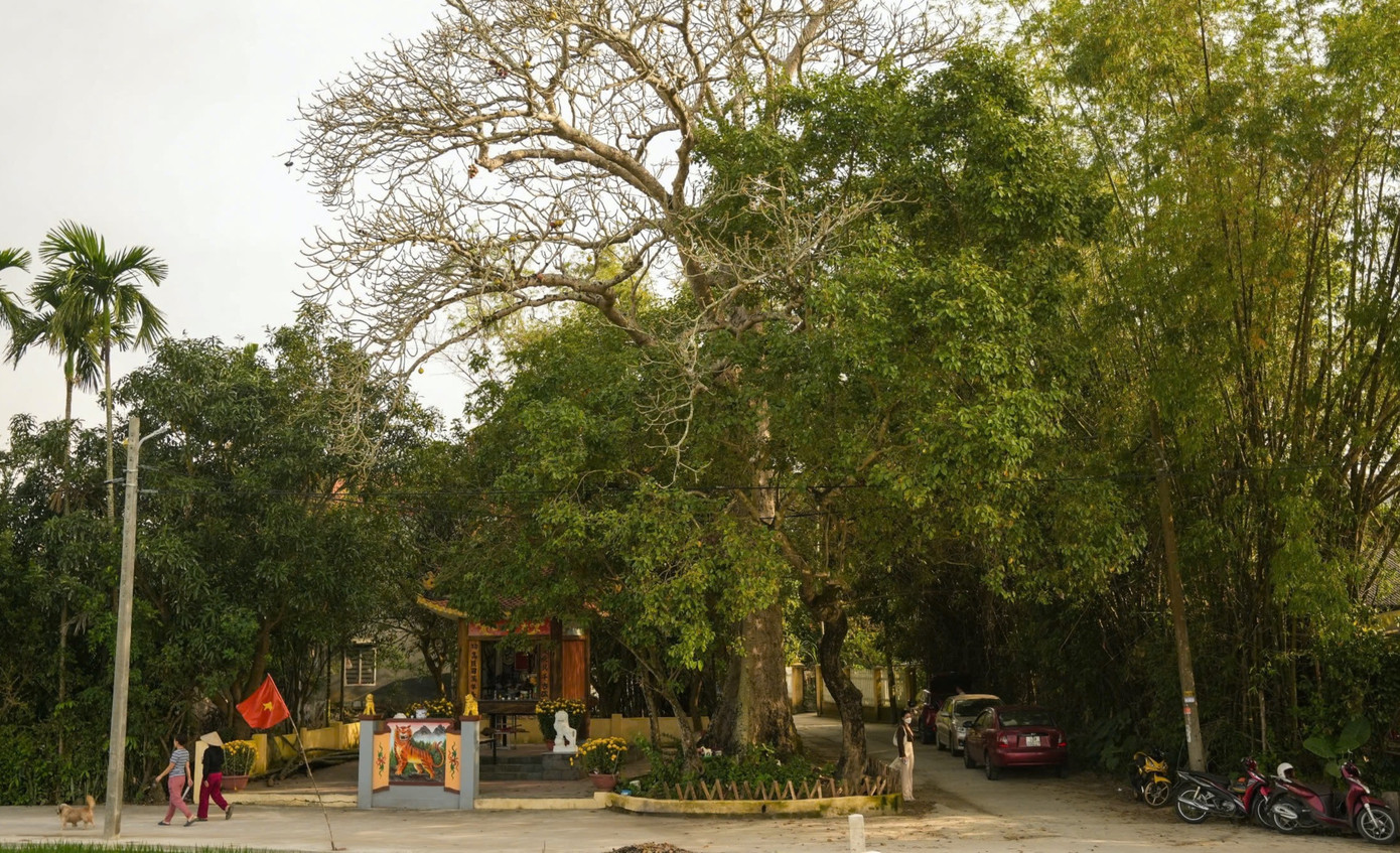 Trải qua hơn 100 năm lịch sử, làng cổ Phong Nam vẫn giữ nguyên nét kiến trúc cổ kính với những ngôi nhà mái ngói rêu phong, đường làng quanh co tạo nên không gian thanh tịnh, yên bình cho du khách khi đến đây.