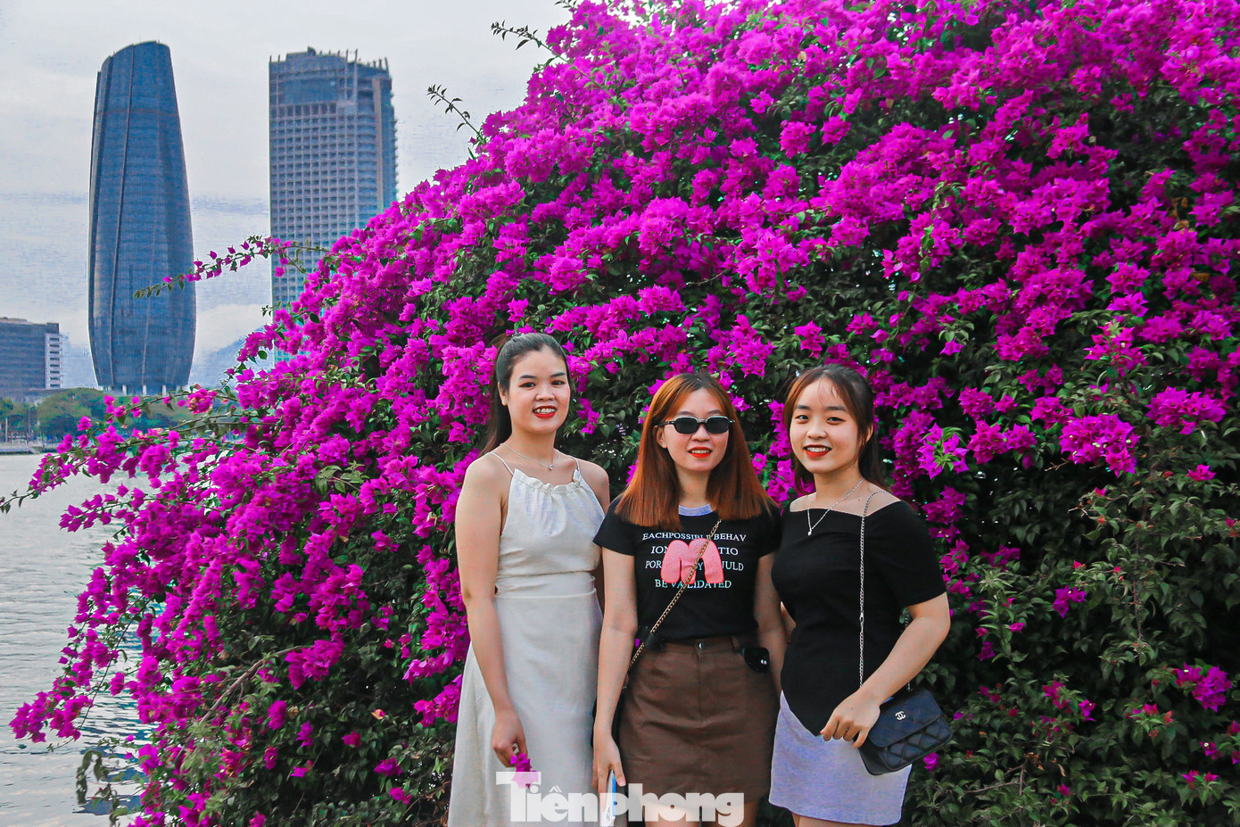 Nhiều bạn trẻ bị thu hút bởi màu sắc rực rỡ của hoa giấy cũng đã nán lại ngắm nhìn, chụp những bức hình thật xinh cho mình. Nhiều bạn trẻ bị thu hút bởi màu sắc rực rỡ của hoa giấy cũng đã nán lại ngắm nhìn, chụp những bức hình thật xinh cho mình.