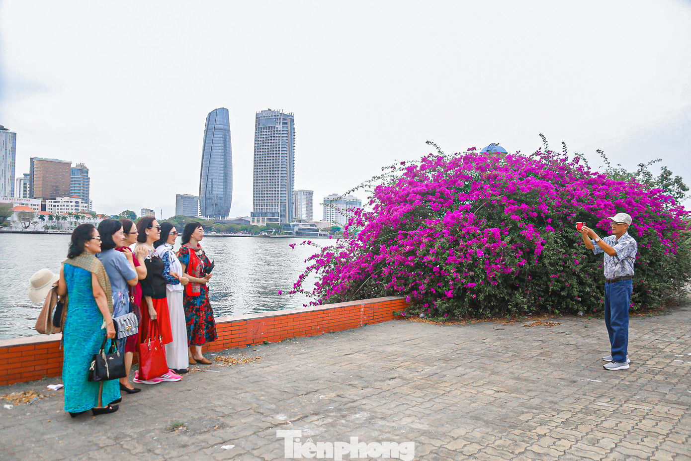 Mùa hoa giấy nở rộ đang tô điểm cho các tuyến đường thành phố Đà Nẵng thêm lung linh sắc màu, thu hút đông đảo người dân đến tham quan chụp hình. Mùa hoa giấy nở rộ đang tô điểm cho các tuyến đường thành phố Đà Nẵng thêm lung linh sắc màu, thu hút đông đảo người dân đến tham quan chụp hình.