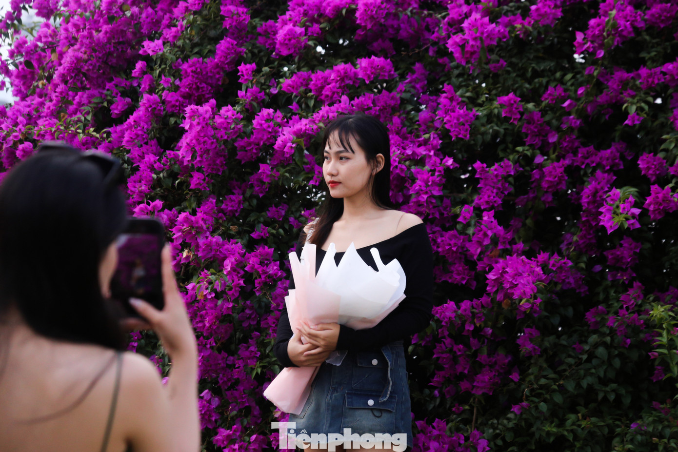 Nhiều bạn trẻ bị thu hút bởi màu sắc rực rỡ của hoa giấy cũng đã nán lại ngắm nhìn, chụp những bức hình thật xinh cho mình. Nhiều bạn trẻ bị thu hút bởi màu sắc rực rỡ của hoa giấy cũng đã nán lại ngắm nhìn, chụp những bức hình thật xinh cho mình.