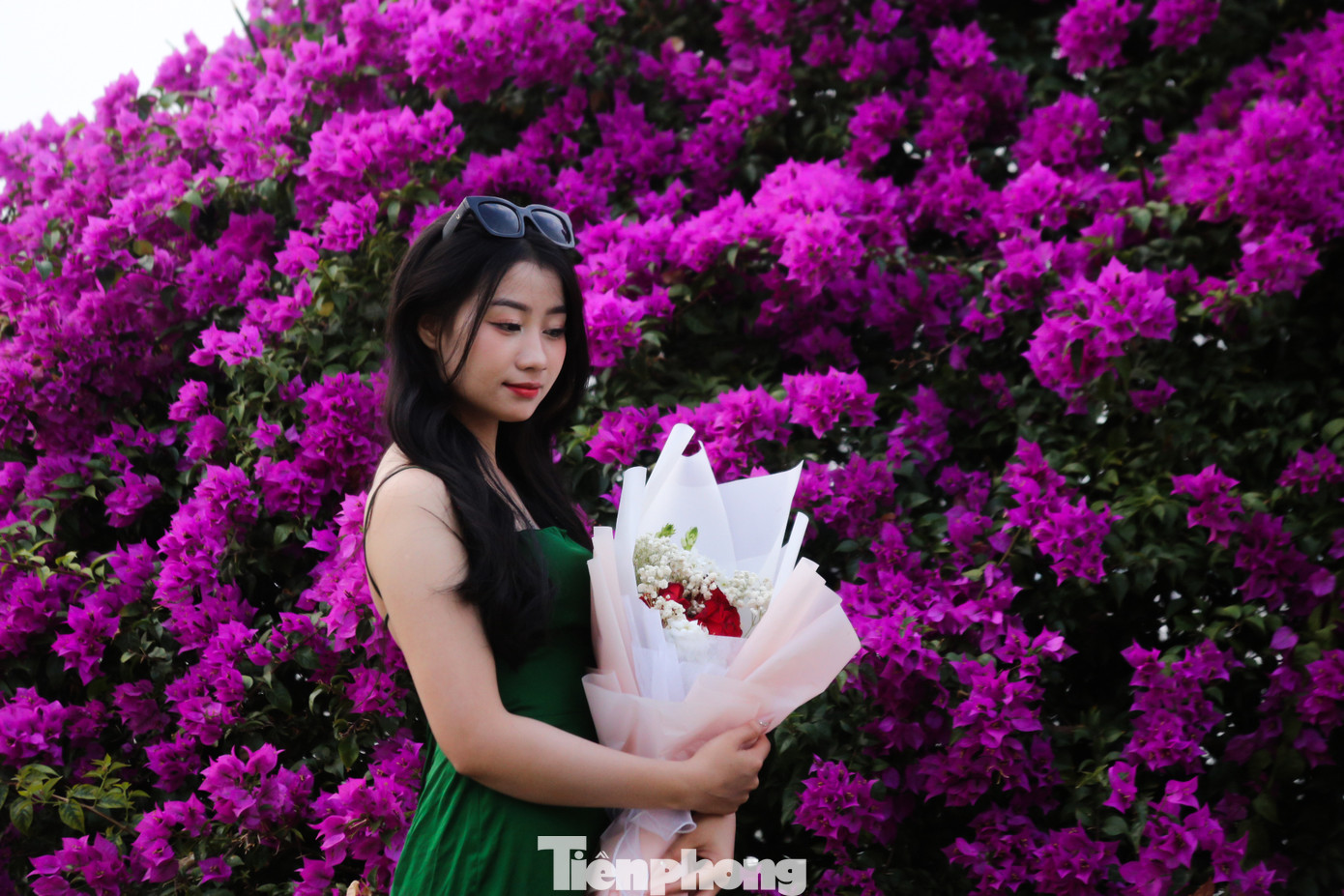 Sinh viên Mai Thị Thu Hằng cho biết. “Hoa giấy bên sông Hàn đang rất hot trên mạng xã hội nên em cùng bạn tranh thủ đến chụp hình. Hoa đang vào mùa bung nở đẹp nhất trong năm nên ai cũng muốn có những bức hình thật xinh và bọn em cũng vậy”. Sinh viên Mai Thị Thu Hằng cho biết. “Hoa giấy bên sông Hàn đang rất hot trên mạng xã hội nên em cùng bạn tranh thủ đến chụp hình. Hoa đang vào mùa bung nở đẹp nhất trong năm nên ai cũng muốn có những bức hình thật xinh và bọn em cũng vậy”.