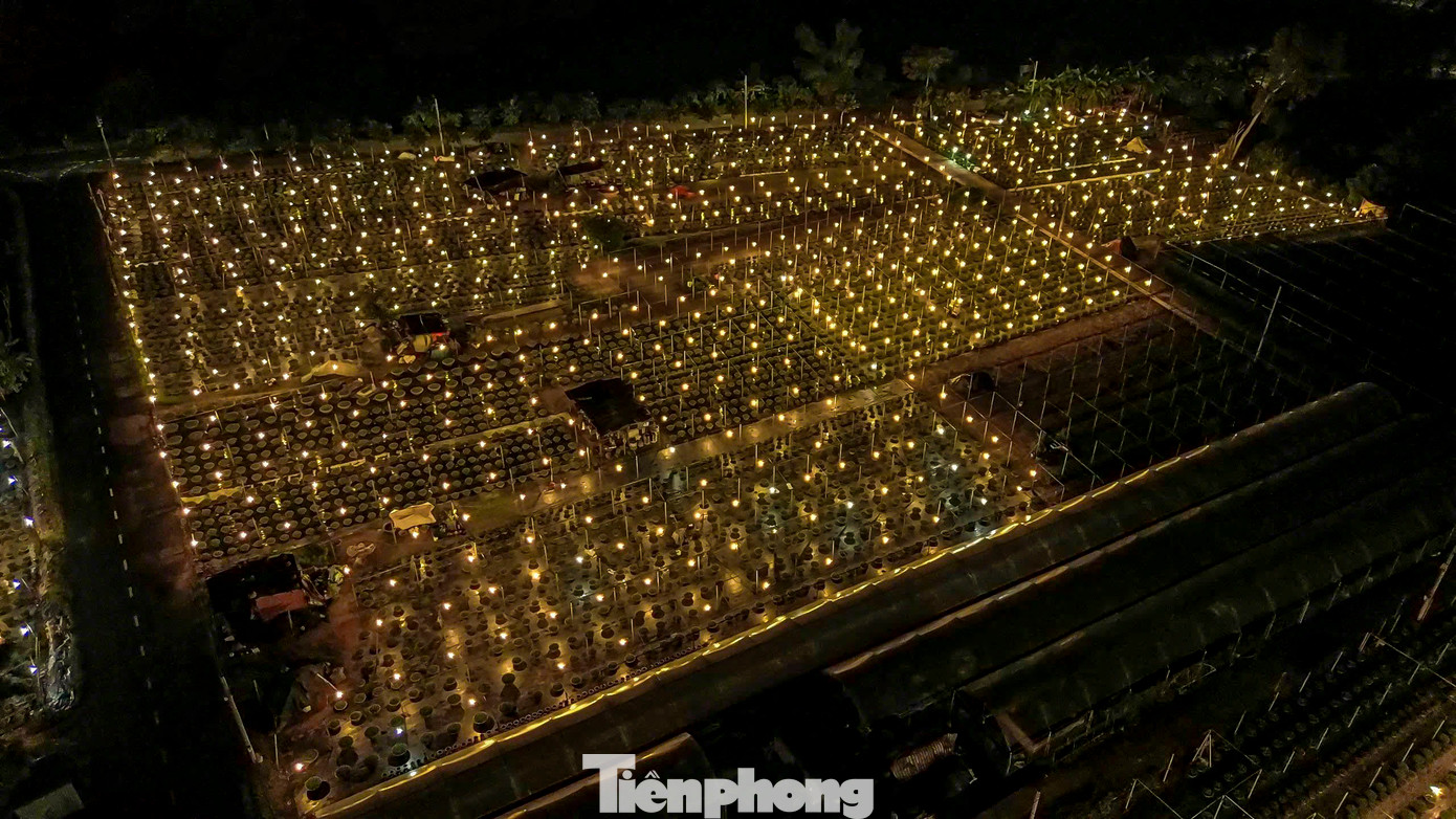 Vào ban đêm, hàng nghìn bóng đèn huỳnh quang loại nhỏ công suất 15-20W được thắp lên làm cả làng hoa Dương Sơn đẹp lung linh, nổi bật trong đêm. Vào ban đêm, hàng nghìn bóng đèn huỳnh quang loại nhỏ công suất 15-20W được thắp lên làm cả làng hoa Dương Sơn đẹp lung linh, nổi bật trong đêm.