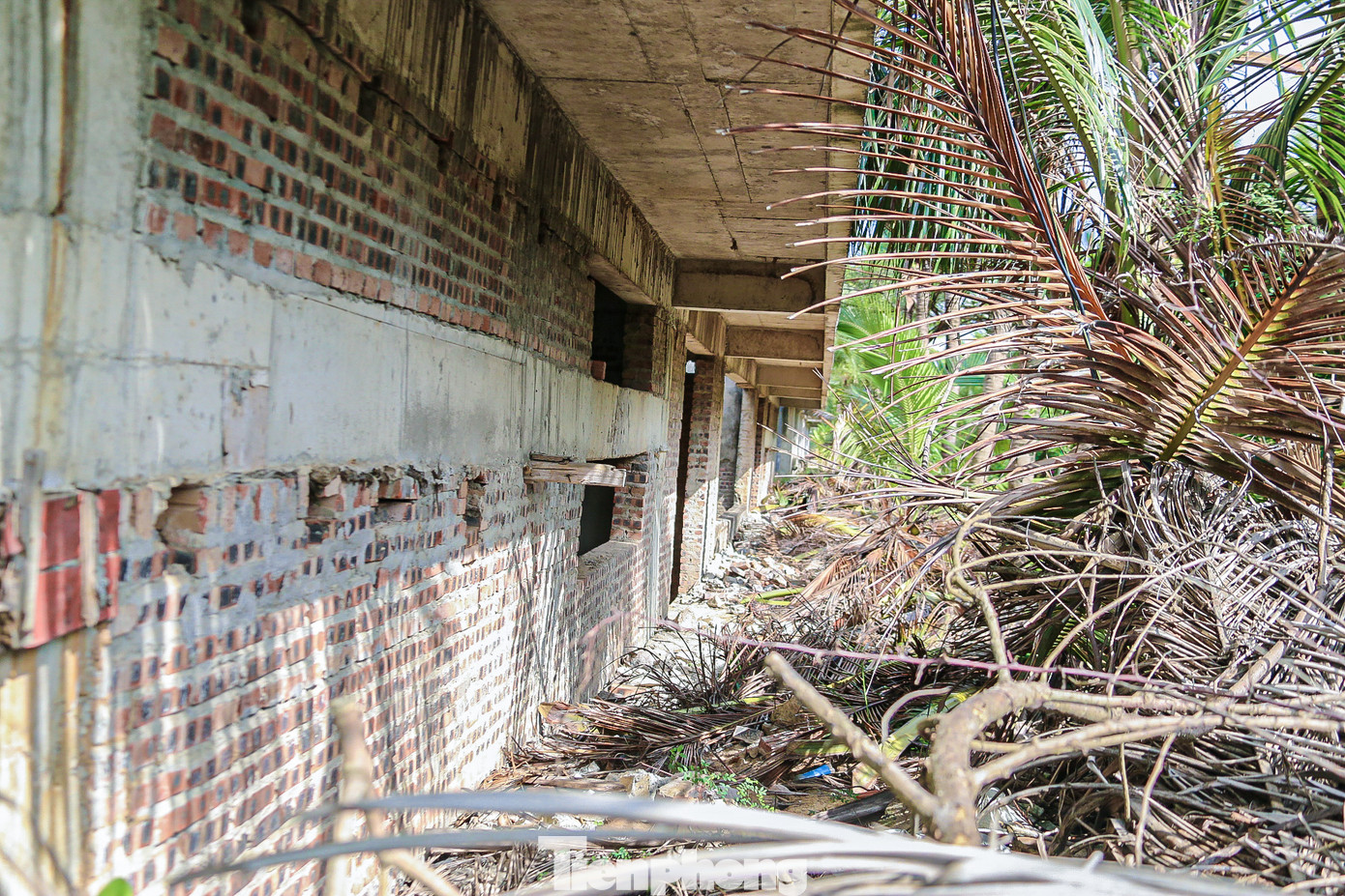 Một dãy biệt thự được xây lên dang dở rồi để đó, xung quanh cây cỏ mọc um tùm, không được dọn dẹp. Một dãy biệt thự được xây lên dang dở rồi để đó, xung quanh cây cỏ mọc um tùm, không được dọn dẹp.