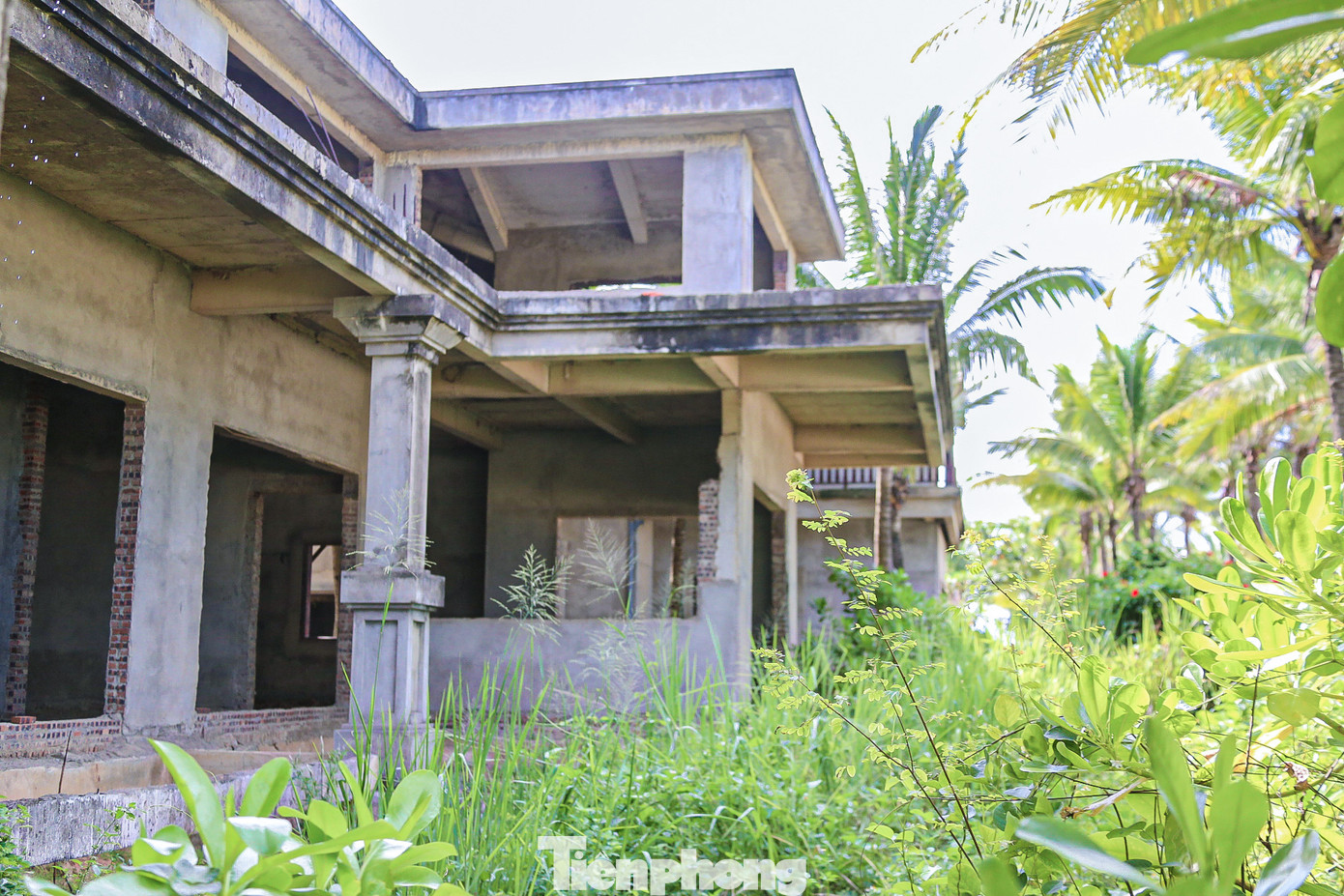 Một dãy biệt thự được xây lên dang dở rồi để đó, xung quanh cây cỏ mọc um tùm, không được dọn dẹp. Một dãy biệt thự được xây lên dang dở rồi để đó, xung quanh cây cỏ mọc um tùm, không được dọn dẹp.