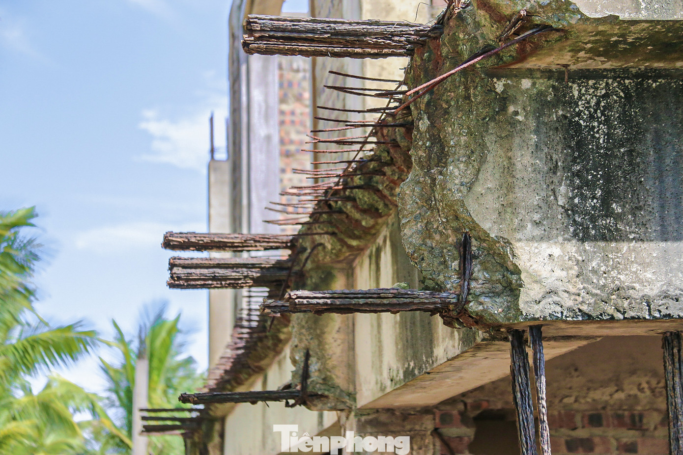 Khu biệt thự hoang vắng, im lìm. Một số hạng mục của dự án xây dựng dở dang rồi phơi nắng mưa khiến các khung sắt hoen gỉ. Khu biệt thự hoang vắng, im lìm. Một số hạng mục của dự án xây dựng dở dang rồi phơi nắng mưa khiến các khung sắt hoen gỉ.