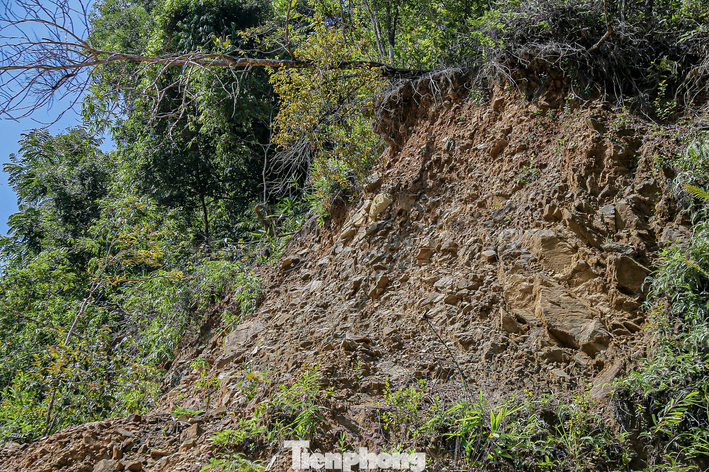 Một số điểm trên đồi đang có nguy cơ sạt lở cao.