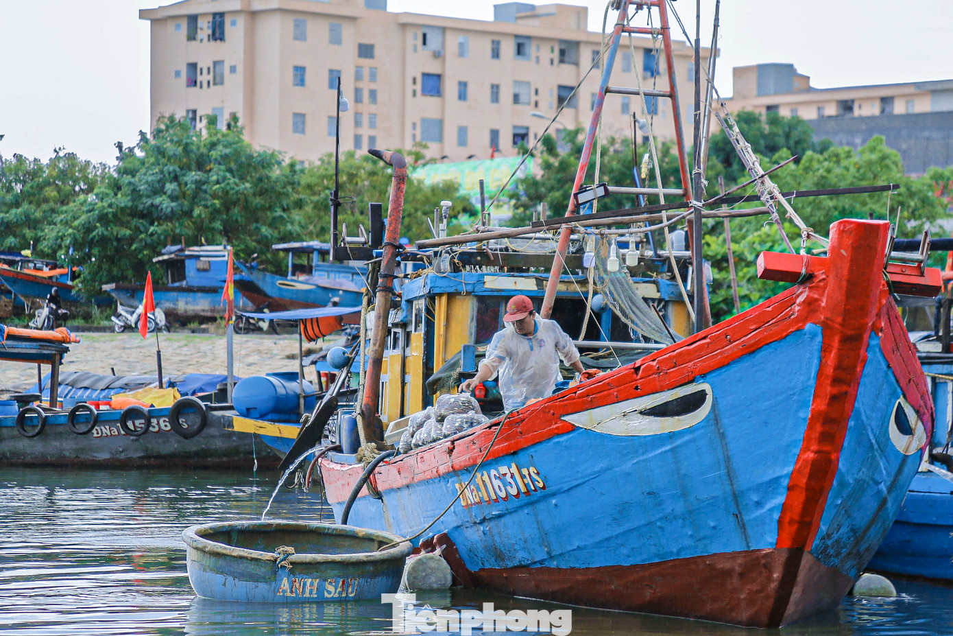Theo ghi nhận của Tiền Phong, sau một ngày ra khơi, nhiều tàu cá của ngư dân đã cập bến với hàng tấn cá tươi. Theo ghi nhận của Tiền Phong, sau một ngày ra khơi, nhiều tàu cá của ngư dân đã cập bến với hàng tấn cá tươi.