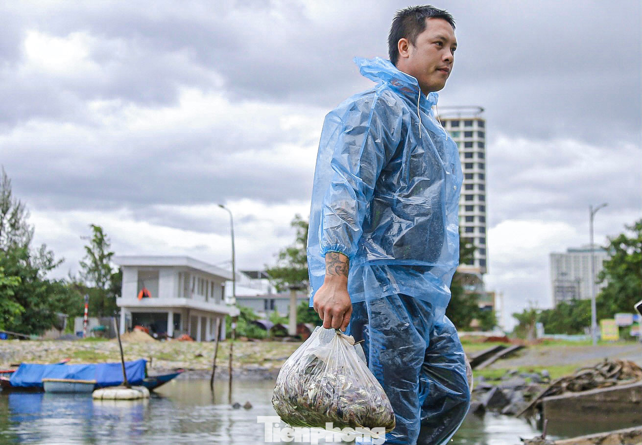 Cá được ngư dân đưa lên bờ sau khi cập bến. Cá được ngư dân đưa lên bờ sau khi cập bến.