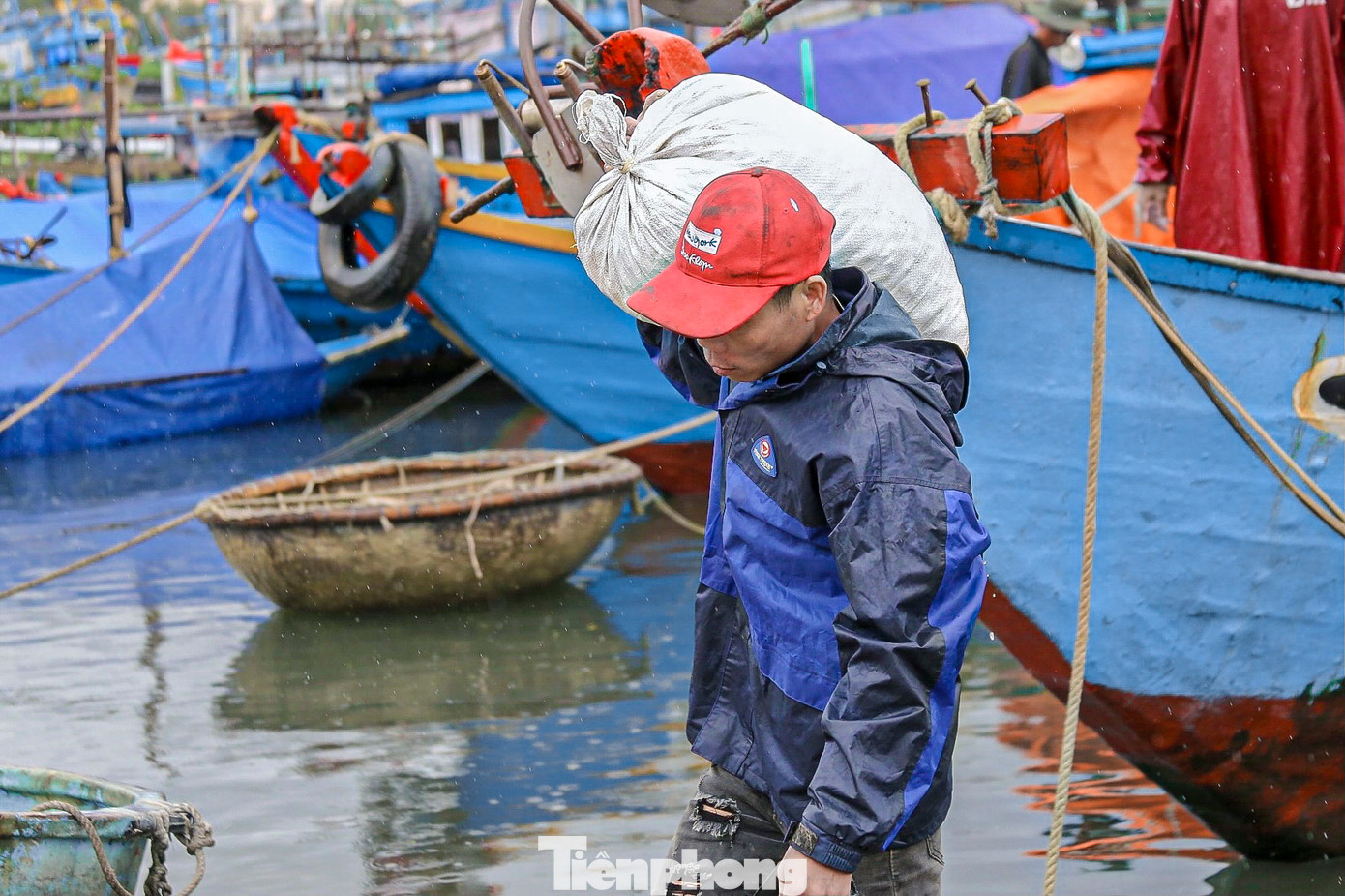 "Sau bão, nước biển còn đục và biển chưa êm hẳn, cá và hải sản di chuyển vào vùng gần bờ để tránh bão, chưa quay lại vùng nước sâu. Chúng tôi tranh thủ ra khơi để kiếm thêm thu nhập, trang trải cuộc sống", anh Trần Văn Hòa (trú phường Nại Hiên) chia sẻ. "Sau bão, nước biển còn đục và biển chưa êm hẳn, cá và hải sản di chuyển vào vùng gần bờ để tránh bão, chưa quay lại vùng nước sâu. Chúng tôi tranh thủ ra khơi để kiếm thêm thu nhập, trang trải cuộc sống", anh Trần Văn Hòa (trú phường Nại Hiên) chia sẻ.