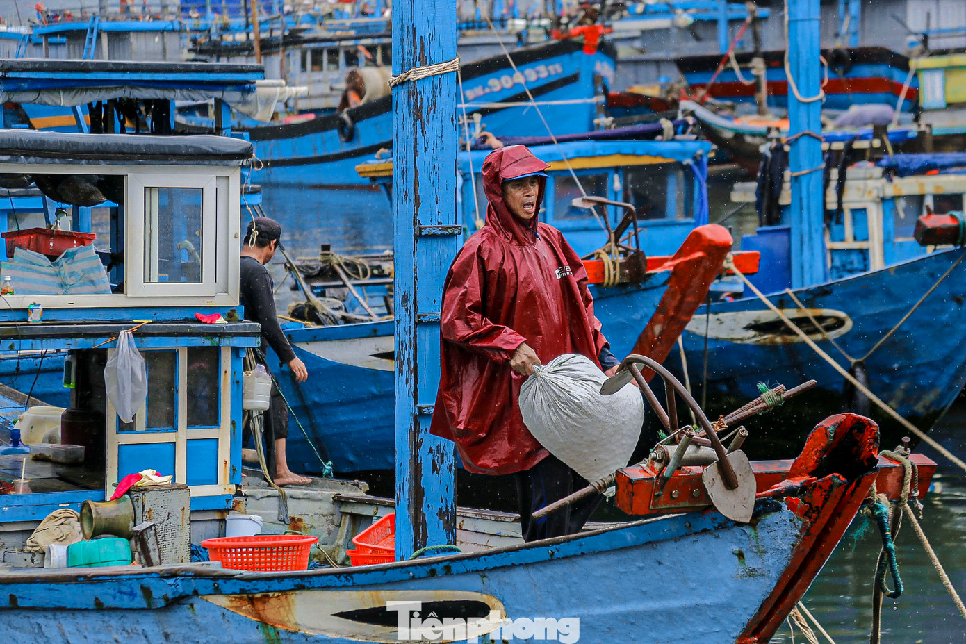 Theo ghi nhận của Tiền Phong, sau một ngày ra khơi, nhiều tàu cá của ngư dân đã cập bến với hàng tấn cá tươi. Theo ghi nhận của Tiền Phong, sau một ngày ra khơi, nhiều tàu cá của ngư dân đã cập bến với hàng tấn cá tươi.