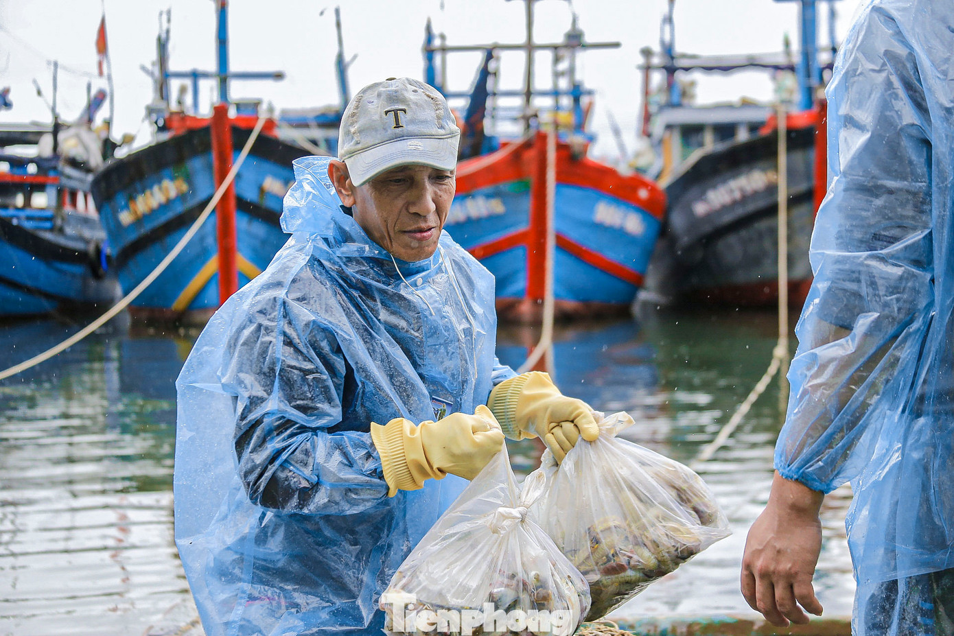 Cá được ngư dân đưa lên bờ sau khi cập bến. Cá được ngư dân đưa lên bờ sau khi cập bến.