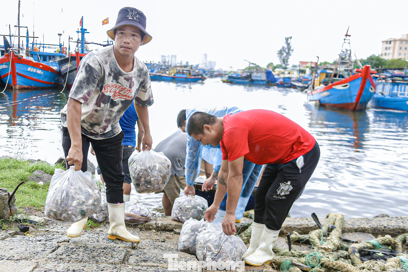 Cá được ngư dân đưa lên bờ sau khi cập bến. Cá được ngư dân đưa lên bờ sau khi cập bến.