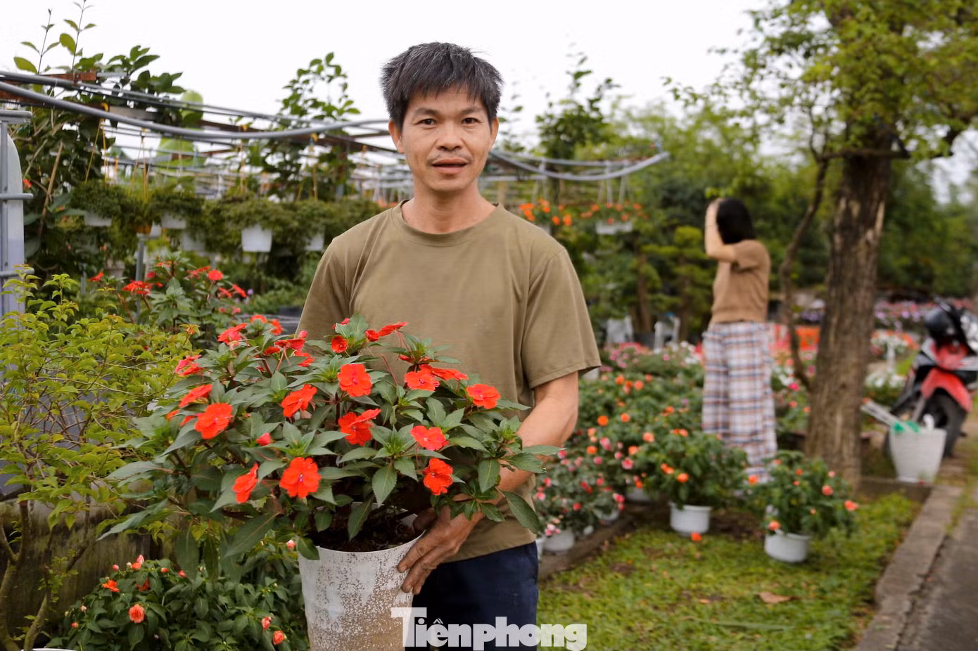 Anh Trần Văn Khanh, chủ vườn cây cảnh Tường Vy, cho biết: Từ đầu tháng 12 âm lịch, anh đã thuê xe đưa hoa từ vườn của mình xuống phố để bán. “Vườn của tôi năm nay trồng thêm nhiều loại hoa hơn so với năm ngoái để đáp ứng nhu cầu mua sắm của người dân. Do phân bón tăng nên giá hoa cũng tăng thêm 10.000 – 20.000 đồng/chậu tùy loại hoa”, anh Khanh nói.