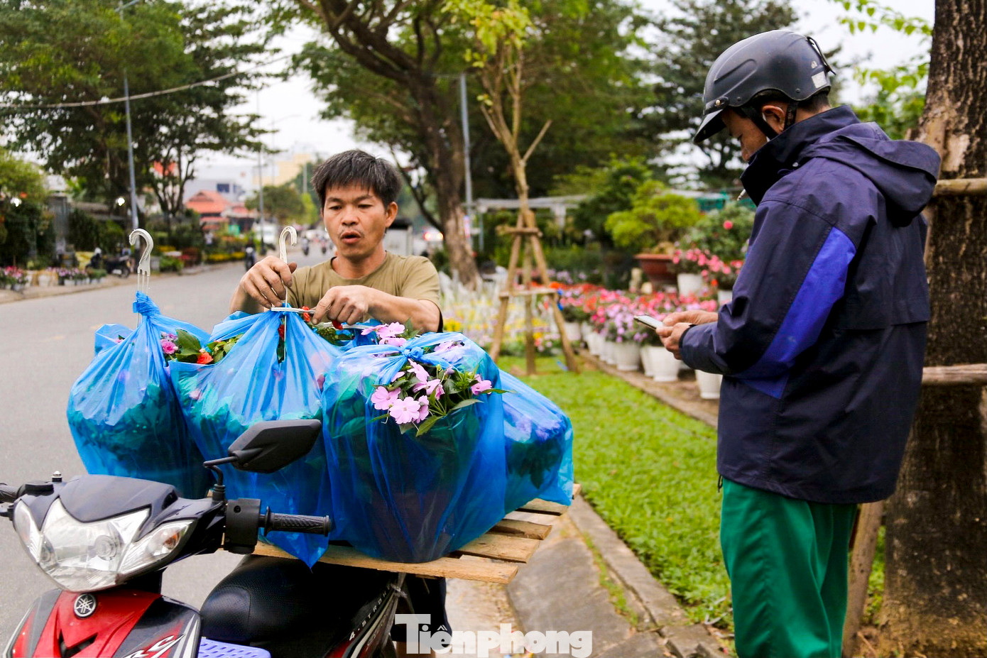 Rất nhiều người đã đến chọn mua hoa để về trang trí nhà cửa chơi Tết.