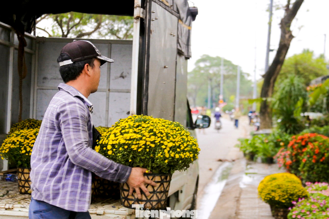Theo ghi nhận của PV, trên các tuyến đường Nguyễn Đình Tựu, Nguyễn Hồng Ánh, Lê Đại Hành… (TP. Đà Nẵng), nhiều chủ vườn bắt đầu đưa hoa xuống phố. Theo các chủ vườn, hoa năm nay tuy khó chăm sóc nhưng giá vẫn không tăng nhiều so với năm ngoái.