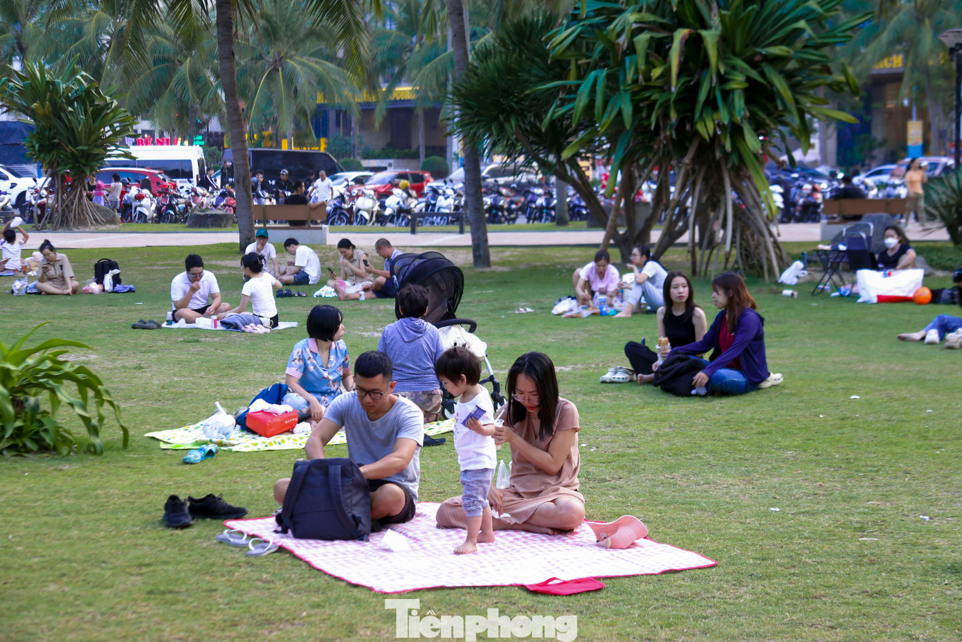 Trên các bãi cỏ dọc bãi biển, nhiều gia đình chọn nơi này làm điểm nghỉ mát, hóng gió và thư giãn.
