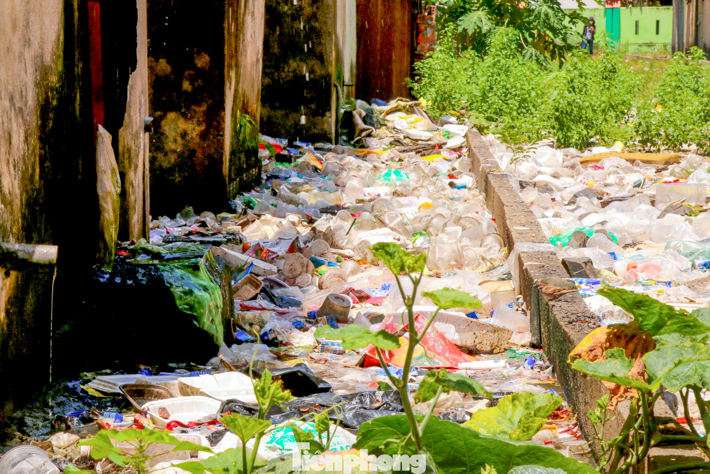 Khu vực xung quanh chung cư bị rác thải bủa vây gây ô nhiễm.