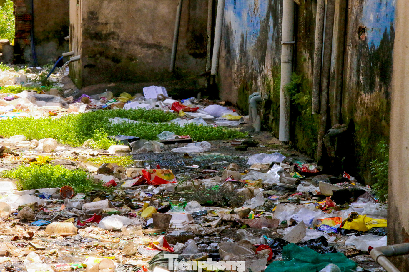 Khu vực xung quanh chung cư bị rác thải bủa vây gây ô nhiễm.
