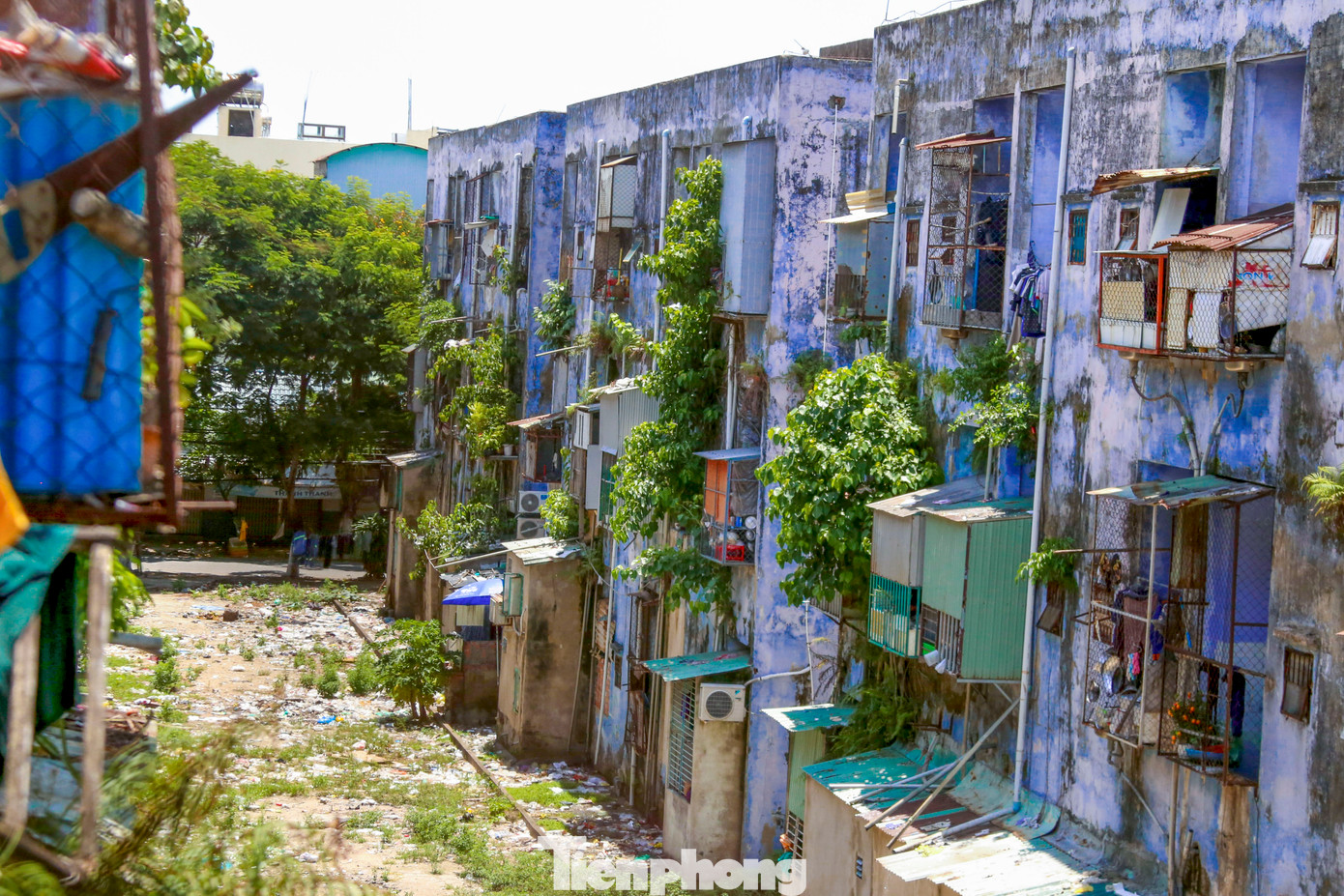 Theo Sở Xây dựng TP. Đà Nẵng, kết quả kiểm định của Trung tâm giám định cho thấy tất cả các khối nhà tại chung cư Hòa Minh này đều ở cấp độ nguy hiểm C. Về nguyên tắc, cấp C thì chưa phải di dời khẩn cấp.