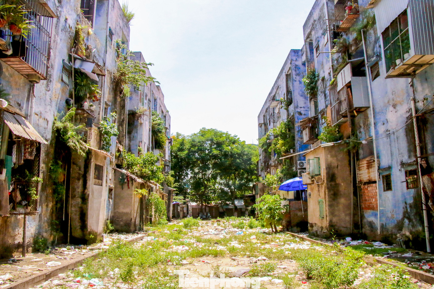 Chung cư Hòa Minh (phường Thanh Khê Tây, quận Thanh Khê, TP. Đà Nẵng) được xây dựng và đưa vào sử dụng từ năm 2001 với tổng cộng 8 block, mỗi block cao 3 tầng, gồm 36 căn hộ. Khu chung cư này từng được bố trí cho 288 hộ dân diện giải tỏa, nhà chờ ở nhằm phục vụ công tác chỉnh trang đô thị.