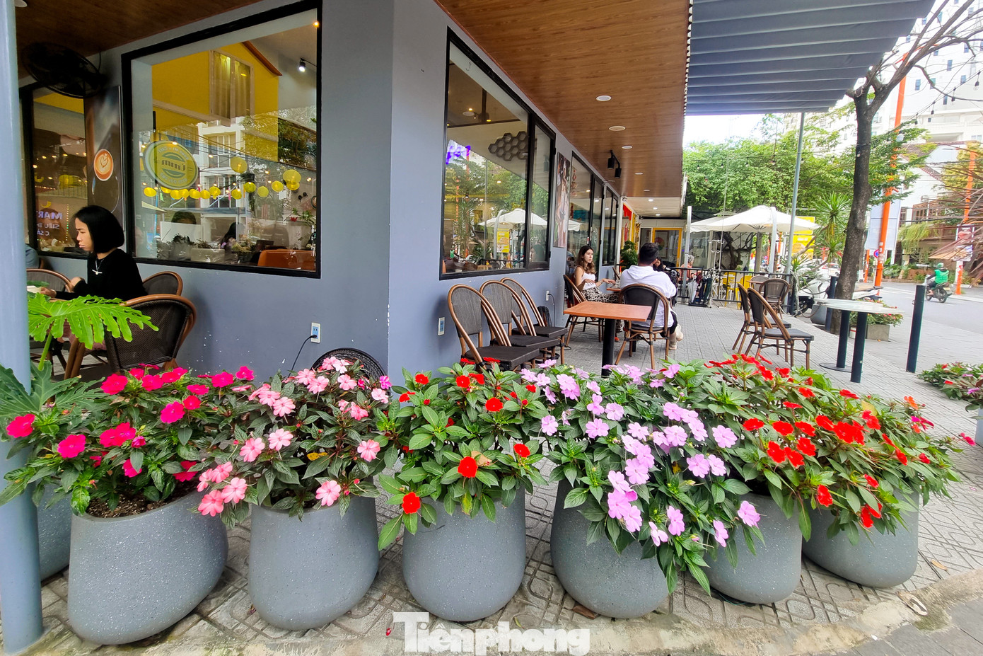 Các cửa hàng, khách sạn, quán cà phê…trong phố Tây cũng giữ nguyên đồ trang trí trong dịp Tết vì vừa đẹp mắt, vừa thu hút du khách. Đại diện một khách sạn cho hay khách nước ngoài khi thấy ngoài sảnh đặt rất nhiều chậu cúc đã tò mò hỏi nhân sự kiện gì.