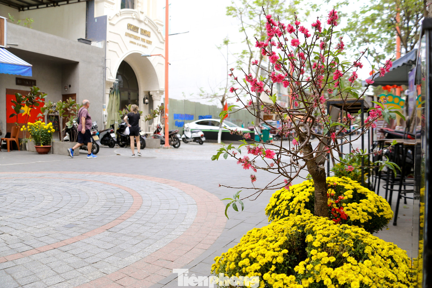 Những chậu hoa cúc, đào trước hiên nhà làm phố Tây vẫn ngập không khí Tết.