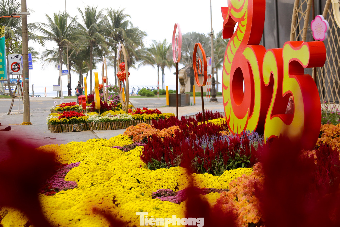 Sắc hoa vẫn còn tươi thắm dù đã hết Tết.