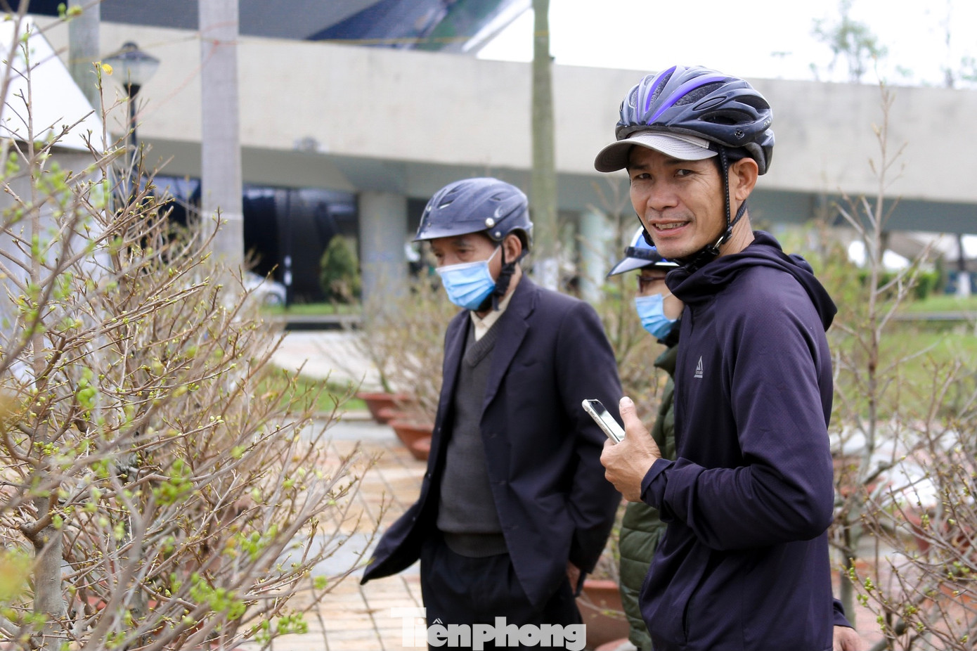 Chủ các vườn mai cho biết, họ đã cẩn thận chăm chút từng chậu mai, uốn nắn cành lá, tưới nước đều đặn cho mai nở hoa đúng dịp, đem đến triển lãm để người dân có thể chiêm ngưỡng và mua sắm.