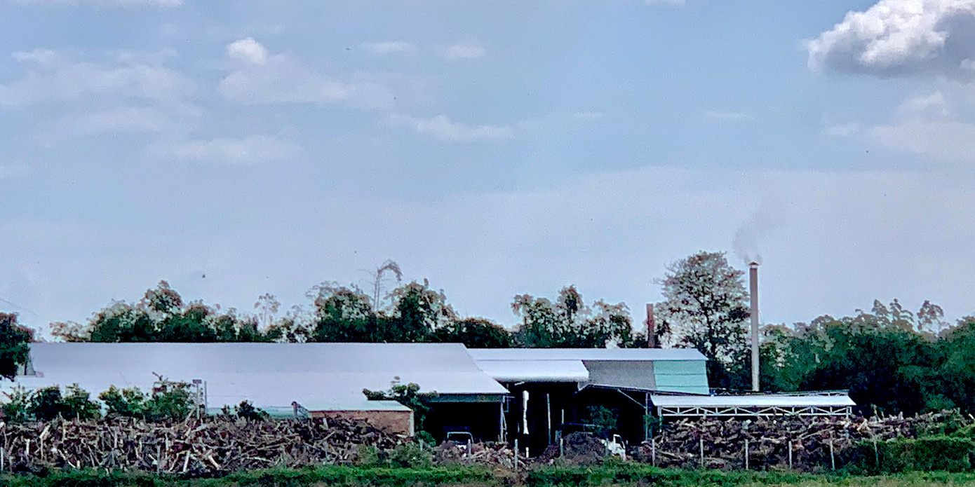 Khu vực chế biến bột cá làm thức ăn gia súc, phía sau nhà máy là các ống xả thải ra môi trường gây ô nhiễm.