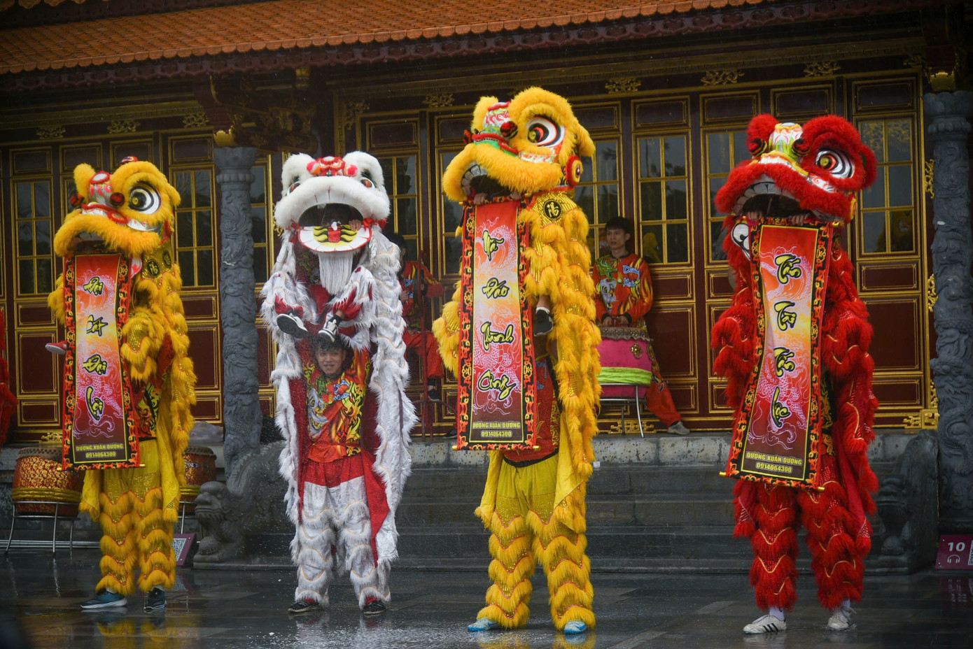 Những màn múa lân sư rồng đặc sắc diễn ra bên trong Đại nội.